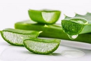 prostatit tedavisi için aloe
