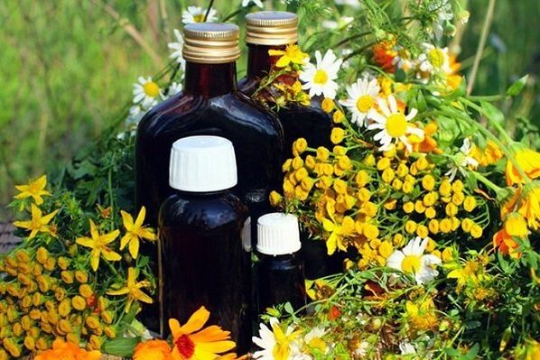 prostatit için bitkisel tentürler